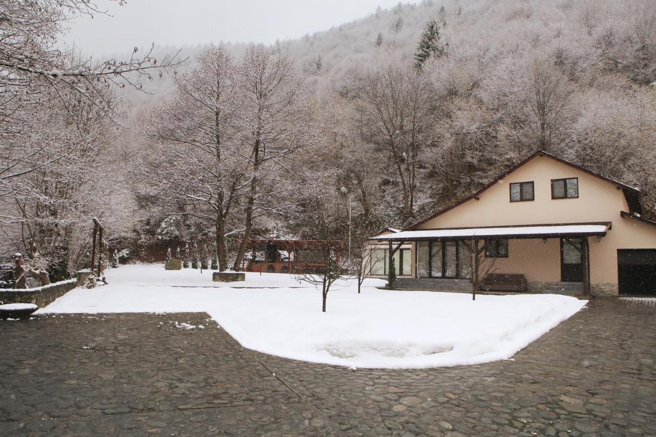 Pensiunea Tudor Breaza Breaza (Brasov) Exterior foto