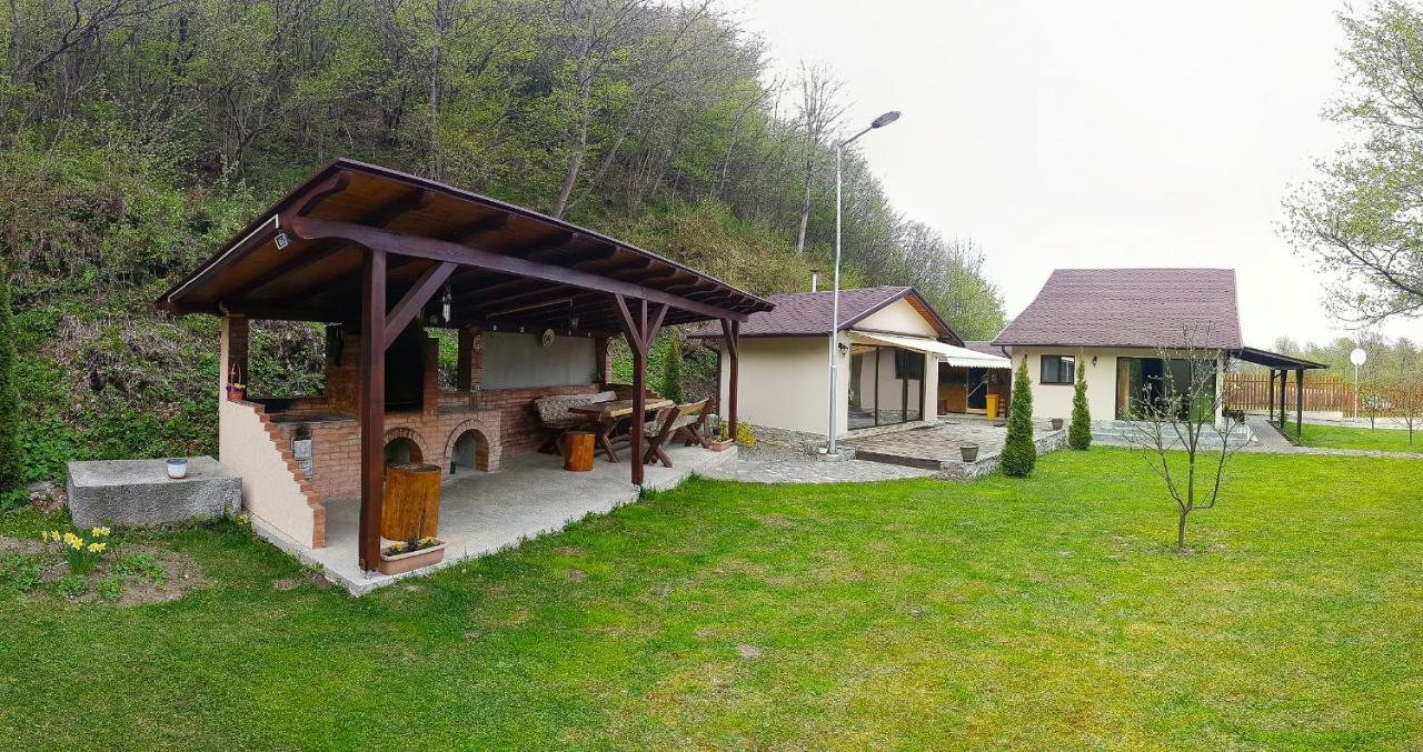 Pensiunea Tudor Breaza Breaza (Brasov) Exterior foto