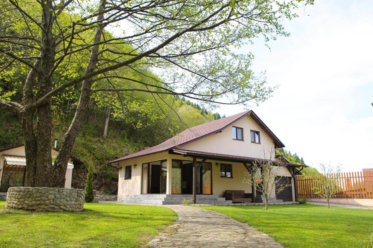 Pensiunea Tudor Breaza Breaza (Brasov) Exterior foto