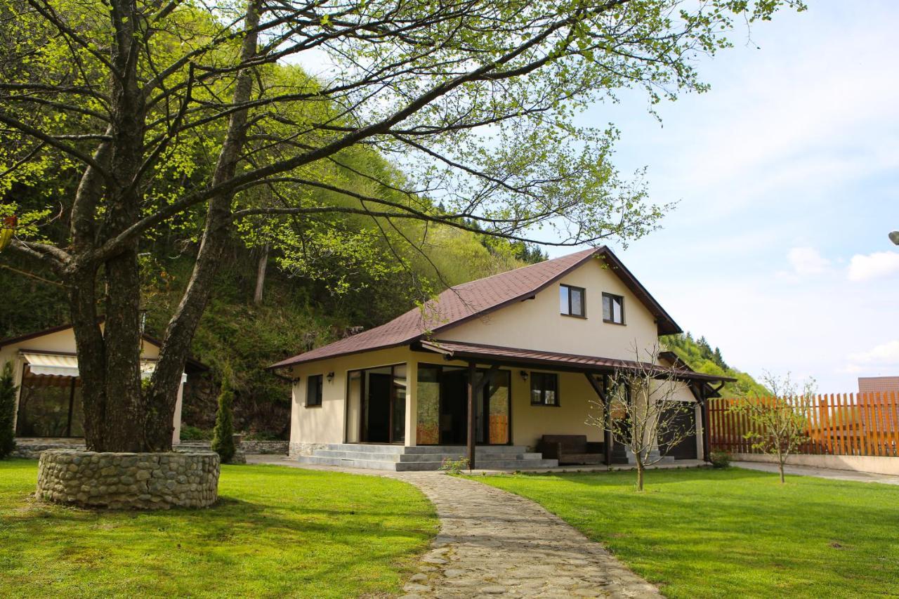 Pensiunea Tudor Breaza Breaza (Brasov) Exterior foto
